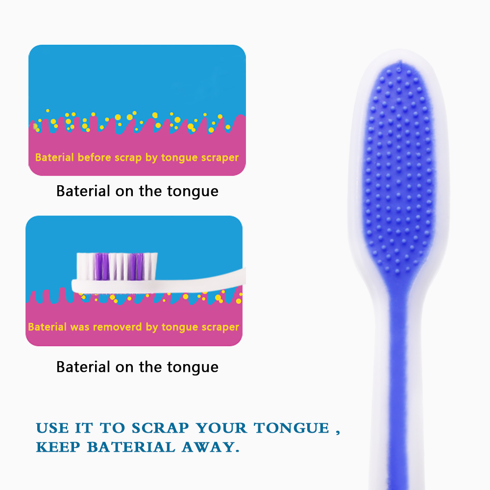 Set of 12 Individual Medium Soft Bristle ToothbrushesB DR.PERFECT