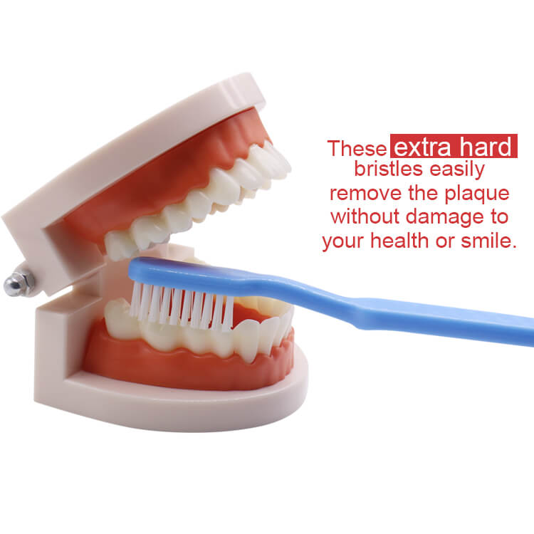 Stiff bristle toothbrushes for smokers 12 pcs box dr perfect