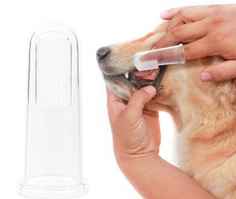 Pet Finger Toothbrush Teddy Dog Brush jpg