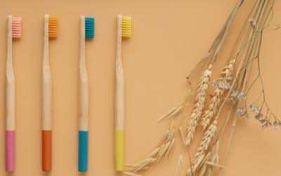 Eco-friendly Toothbrush Buying Guide