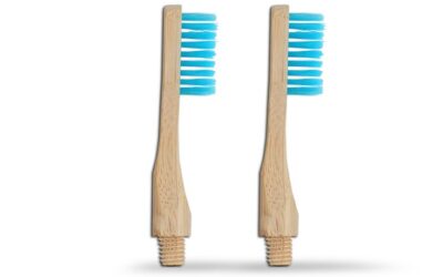 Toothbrush Replacement Heads: Where to Get Them And Why? 