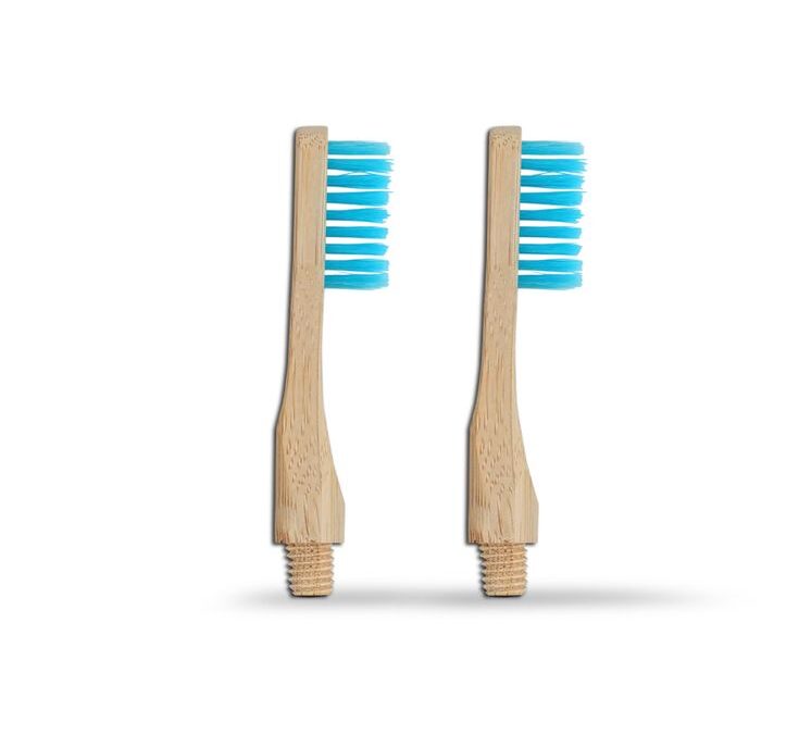 Toothbrush Replacement Heads: Where to Get Them And Why? 
