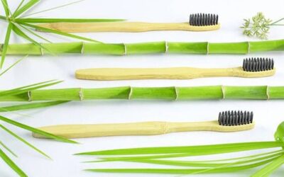 Brush Wih Bamboo? Are You Looking for A Bamboo Toothbrush? 